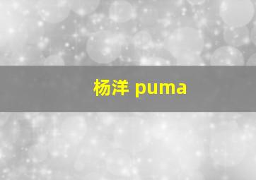 杨洋 puma